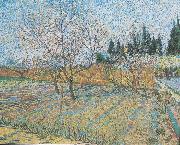 Vincent Van Gogh Flowering orchard with peach-trees Germany oil painting artist